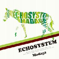 Echosystem / Madaga 【CD】