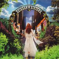 Scissor Sisters シザーシスターズ / Scissor Sisters 輸入盤 【CD】