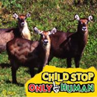 Child Stop / Only Human 【CD】