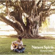【送料無料】 押尾コータロー / Nature Spirit 【CD】...:hmvjapan:10296585