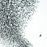 【送料無料】 Wilco ウィルコ / Sky Blue Sky - Tour Edition 輸入盤 【CD】