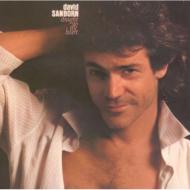 David Sanborn デビッドサンボーン / Straight To The Heart 【CD】