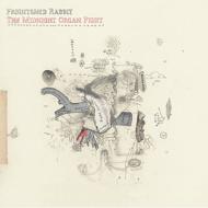 Frightened Rabbit / Midnight Organ Fight 【CD】