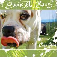 SUNSET BUS / Come Again 【CD】