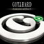 Gotthard ゴットハード / Domino Effect 輸入盤 【CD】
