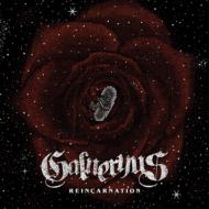 【送料無料】 Galneryus ガルネリウス / Reincarnation 【CD】