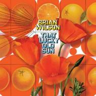 Brian Wilson ブライアンウィルソン (ビーチボーイズ) / That Lucky Old Sun 【LP】
