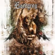 【送料無料】 Evergrey / Torn 輸入盤 【CD】