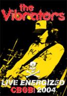 Vibrators / Live Energized Cbgb 2004 【DVD】