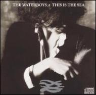 Waterboys ウォーターボーイズ / This Is The Sea 輸入盤 【CD】