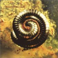 Nine Inch Nails ナインインチネイルズ / Closer To God 輸入盤 【CDS】