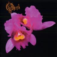 Opeth オーペス / Orchid 【CD】