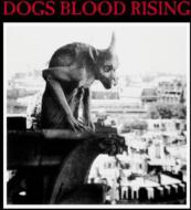 Current 93 / Dogs Blood Rising 輸入盤 【CD】