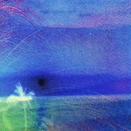 Flying Saucer Attack / Good Bye (Roy Montogomery) 輸入盤 【CD】