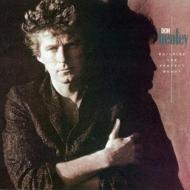 Don Henley ドンヘンリー / Building The Perfect Beast 輸入盤 【CD】