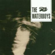 Waterboys ウォーターボーイズ / Waterboys (New Version) 輸入盤 【CD】