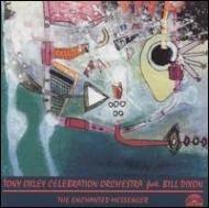 Tony Oxley / Enchanted Messenger 輸入盤 【CD】