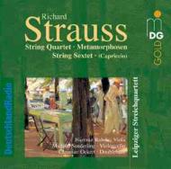 【送料無料】 Strauss, R. シュトラウス / 弦楽四重奏曲、Sextet、Metamorphosen　ライプツィヒ四重奏団、Rohde、M.sanderling、Etc 輸入盤 【CD】