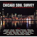 yzCari Davis Presents Chicago Soul Survey A yCDz
