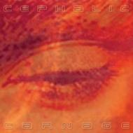 Cephalic Carnage / Lucid Interval 【CD】