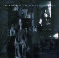 【送料無料】 Fates Warning フェイツウォーニング / Pleasant Shade Of Gray 輸入盤 【CD】