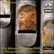 Portrait Of A Spring Chest Organ: J.kraemer 輸入盤 【CD】