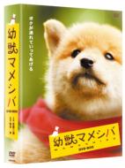 【送料無料】 幼獣マメシバ DVD-BOX 【DVD】