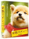 【送料無料】 幼獣マメシバ DVD-BOX 【DVD】