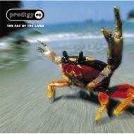 THE PRODIGY プロディジー / Fat Of The Land 【CD】