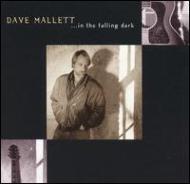 David Mallet / In The Falling Dark 輸入盤 【CD】