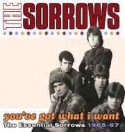 Sorrows / You've Got What I Want: The Essential Sorrows 輸入盤 【CD】