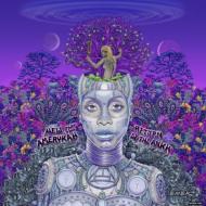 Erykah Badu エリカバドゥ / New Amerykah Part Two (Return Of The Ankh) 【CD】