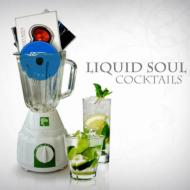 Liquid Soul (Switzerland) / Cocktail 【CD】