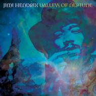【送料無料】 Jimi Hendrix ジミヘンドリックス / Valleys Of Neptune 【LP】