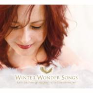 【送料無料】 Karin Bachner Group / Winter Wonder Songs 輸入盤 【CD】