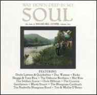 Best Of Sugar Hill Gospel Vol.2 - Way Down Deep In My Soul 輸入盤 【CD】