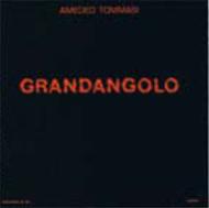 Amedeo Tommasi アメディオトマシ / Grandangolo 輸入盤 【CD】