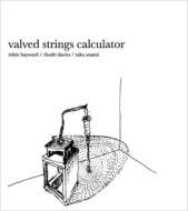 Robin Hayward / Rhodri Davies / 宇波拓 / Valved Strings Calculater 【CD】