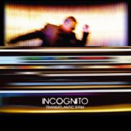 Incognito インコグニート / Transatlantic Rpm 輸入盤 【CD】