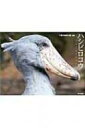 ハシビロコウ / 千葉市動物公園 【本】