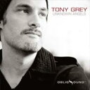 輸入盤CD スペシャルプライスTony Grey　トニー・グレイ / Unknown Angels 輸入盤 【CD】