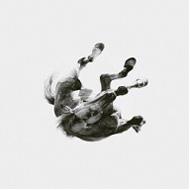 Anberlin ディセンデンツ / Dark Is The Way: Light Is A Place (Int'l Jewel Version) 輸入盤 【CD】