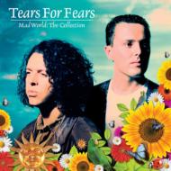 Tears For Fears ティアーズフォーフィアーズ / Rule The World: The Collection 輸入盤 【CD】