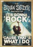 Brian Setzer ブライアンセッツァー / It's Gonna Rock... 'cause That's What I Do 【DVD】