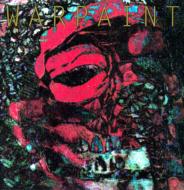 Warpaint ウォーペイント / Fool 【LP】