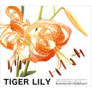 Kenmochi Hidefumi ケンモチヒデフミ / Tiger Lily 【CD】