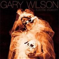 Gary Wilson / Electric Endicott 【LP】