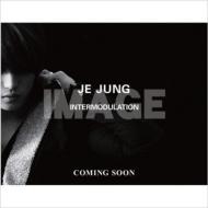 【送料無料】 JEJUNG -INTERMODULATION 【DVD付き写真集】 / JEJUNG (東方神起 JYJ) ジェジュン 【単行本】