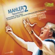 【送料無料】 Mahler マーラー / 交響曲第2番『復活』　レヴァイン＆イスラエル・フィル、ルートヴィヒ、キルダフ（2CD） 輸入盤 【CD】