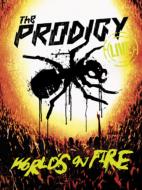 THE PRODIGY プロディジー / Live - World's On Fire 【DVD】